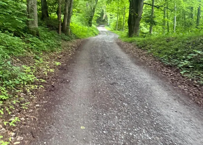 Lejlighed Fuer Gruppen Oder Familien